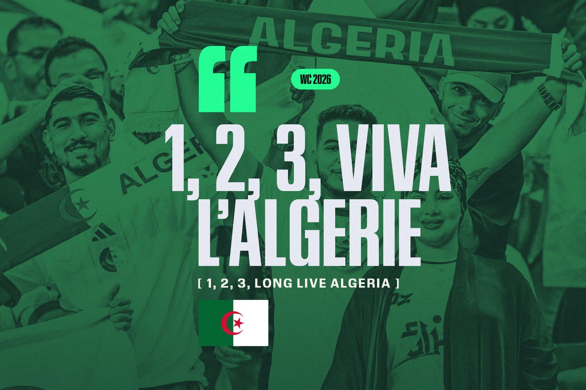 Algerian football fans celebrating passionately with flags.