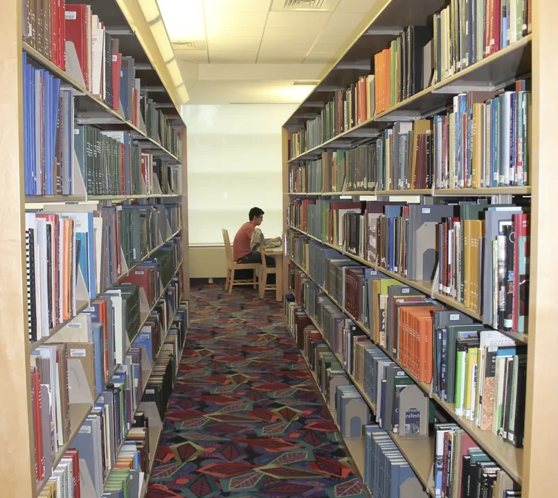 How to Keep Up with Your Coursework While Following the Sports Season